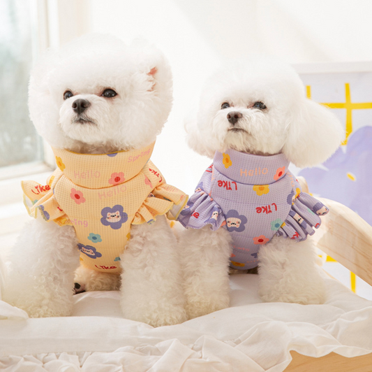 Chen Pet Wholesale High Quality Dog Clothes Pet Clothes