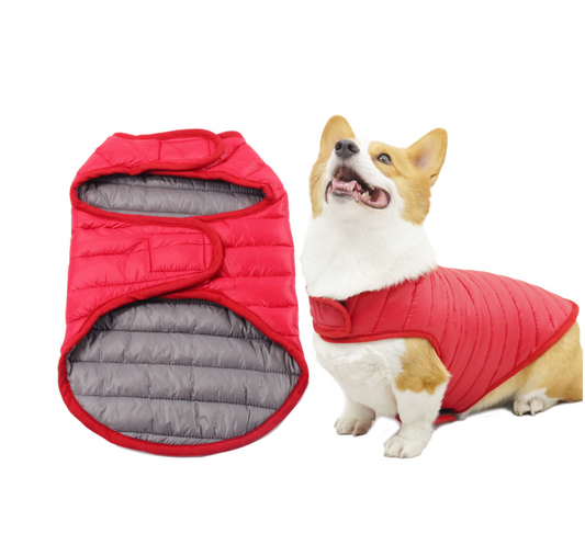 Chen Pet High Quality Down-filled Garment Dog Apparel Pet Clothes