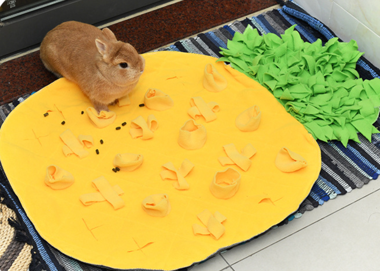 Chenpet Durable Pineapple Style Polar Fleece Pet Mats Dogs Cats Bunnys Snuffle Mats