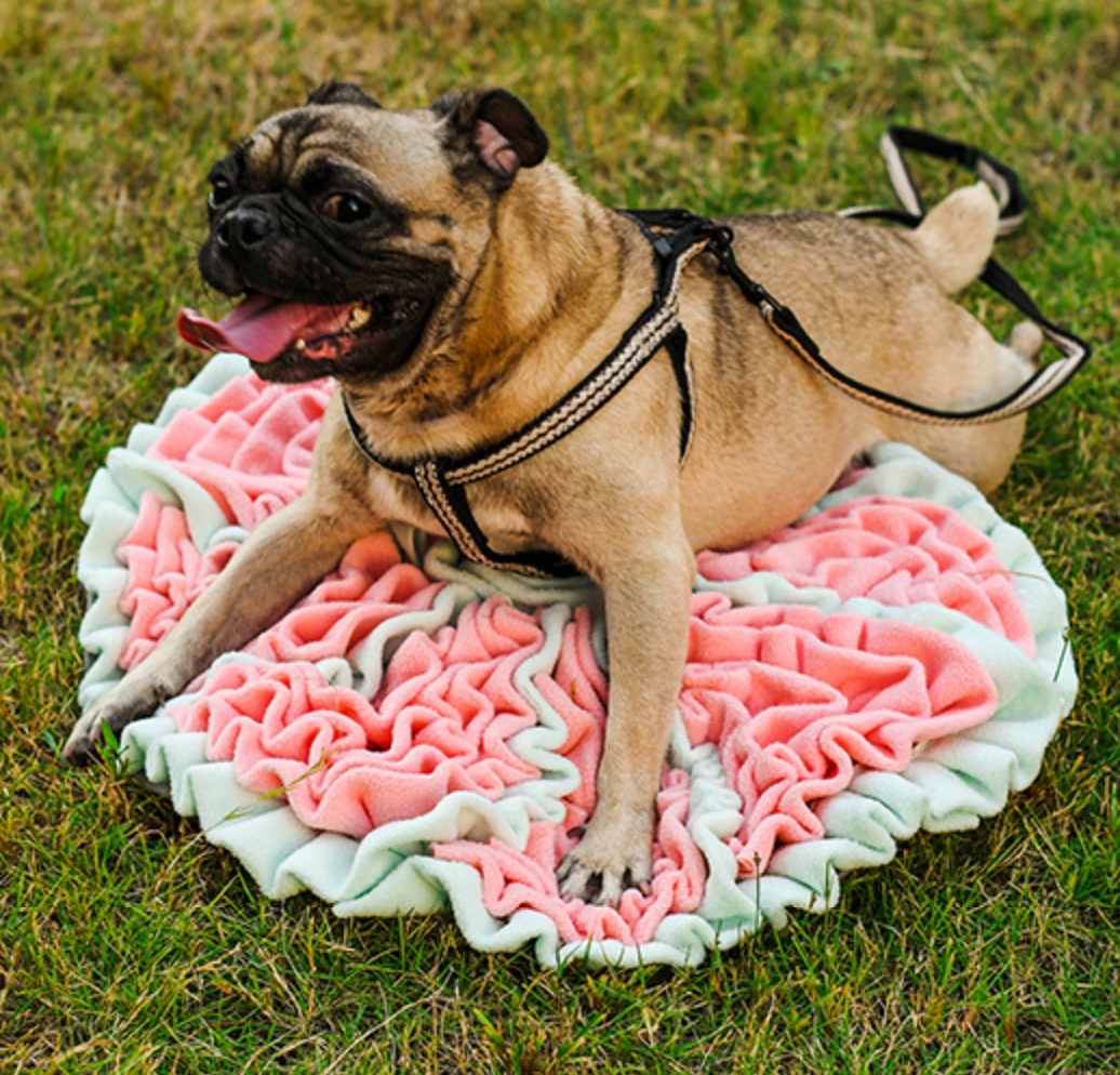 Chenpet High Quality Flowers Style Pet Snuffle Mats Soft Mats