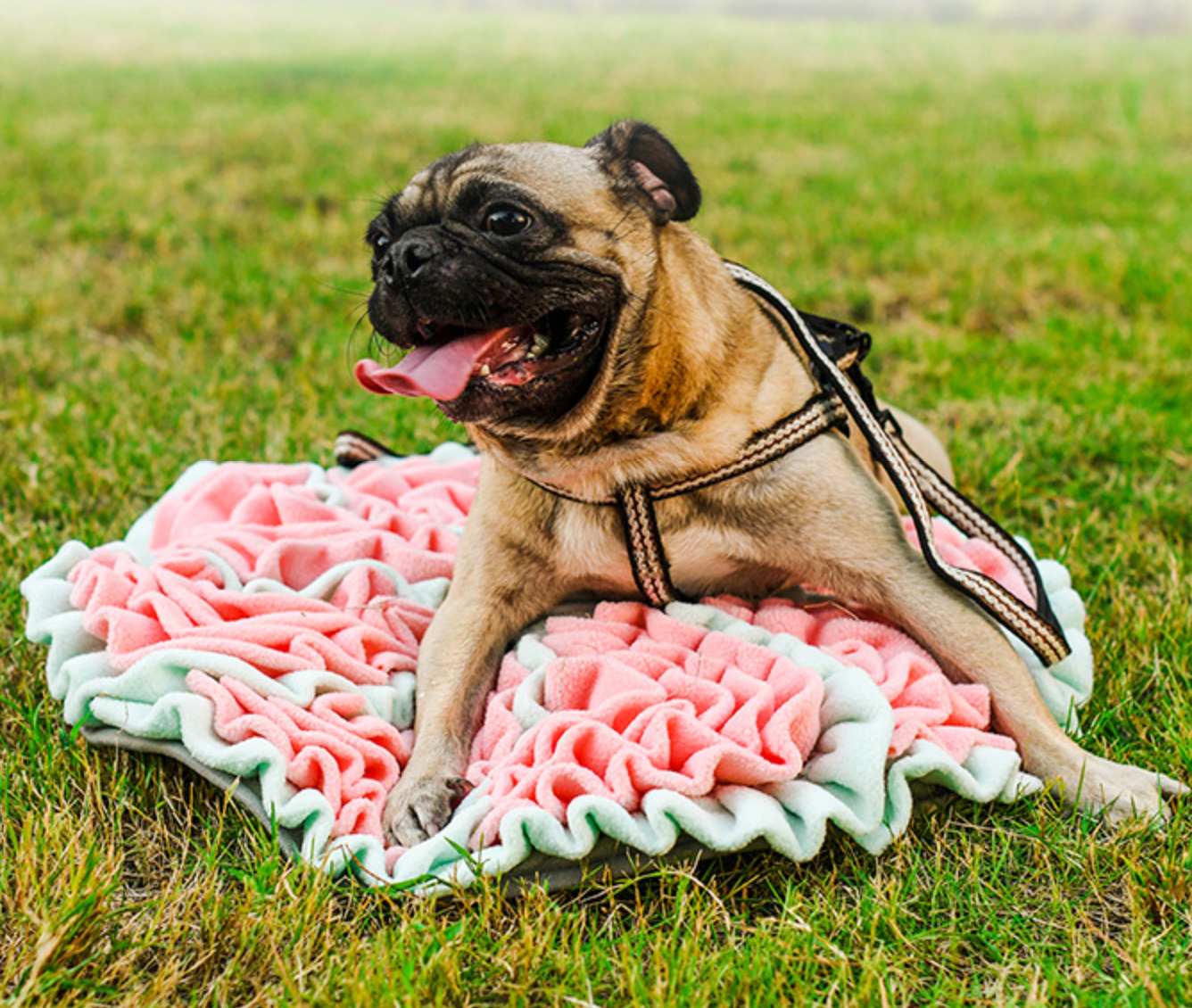 Chenpet High Quality Flowers Style Pet Snuffle Mats Soft Mats