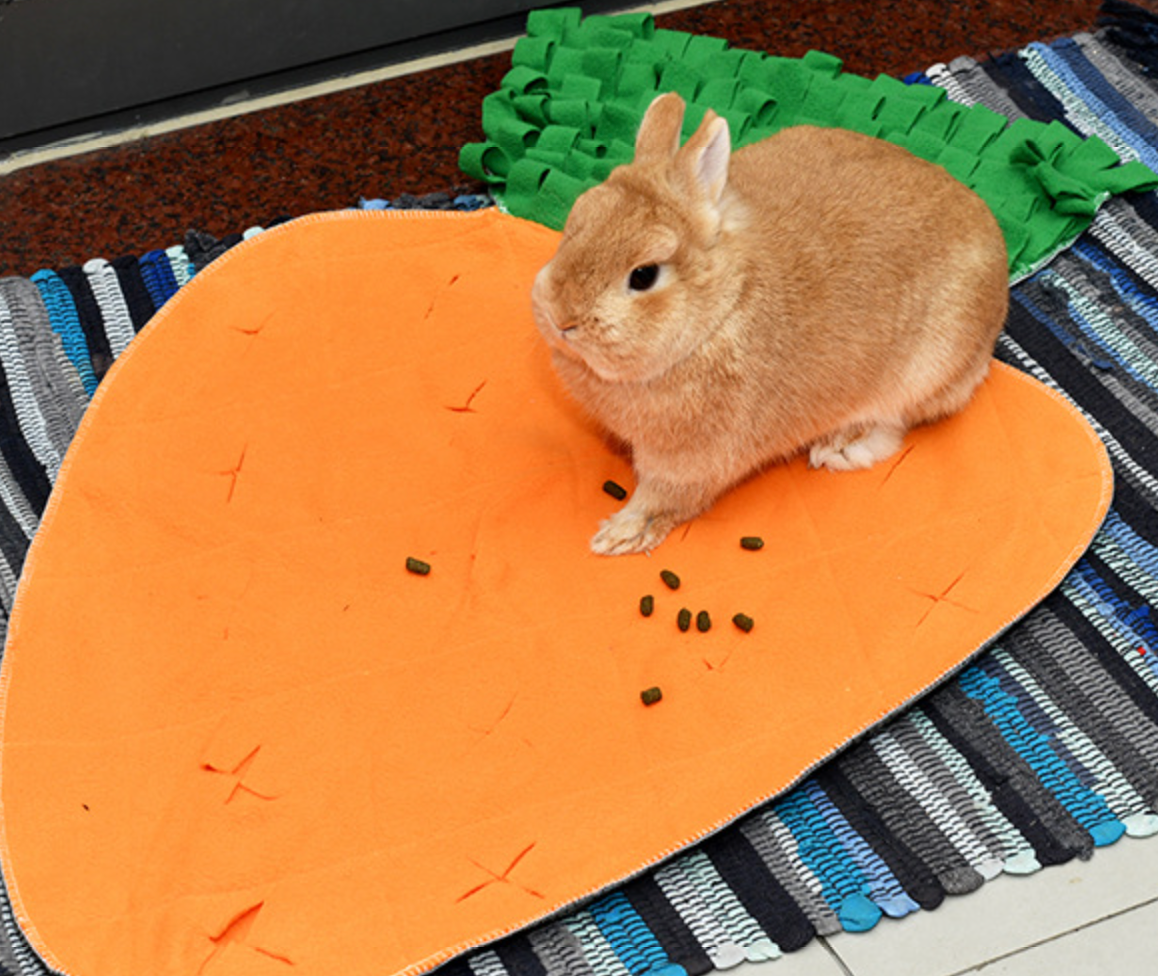 Chenpet High Quality Carrot Snuffle Mats Pet Eat Slower Play Mat