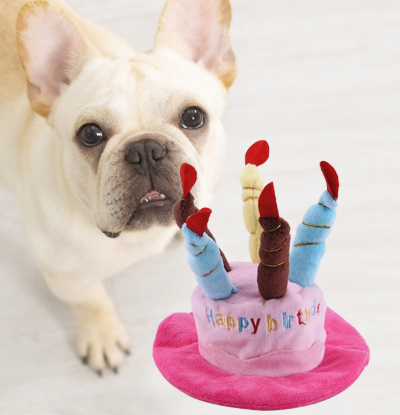 Chenpet High Quality Pet Birthday Series Plush Toys