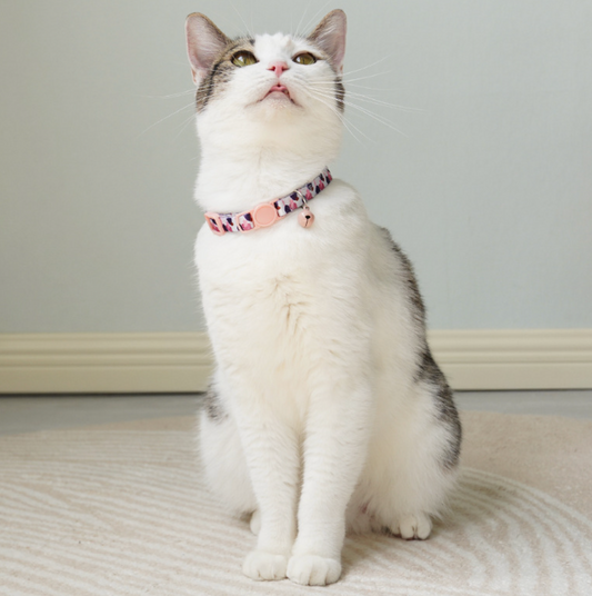 Chenpet Wholesale Cat Collar  Customization Pet Collar