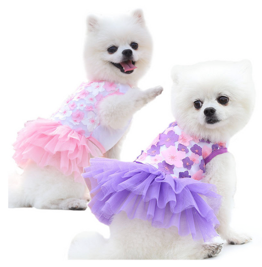 Chenpet Hot Selling New 2023 Spring & Summer Pet Wear Dog Dresses Apparels