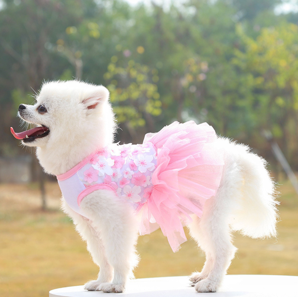 Chenpet Hot Selling New 2023 Spring & Summer Pet Wear Dog Dresses Apparels