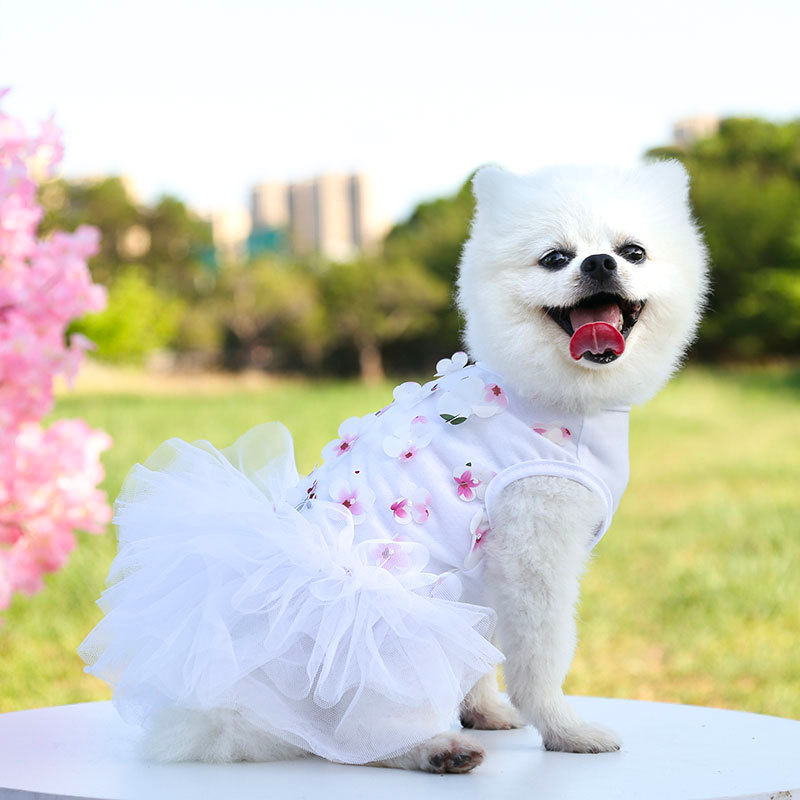 Chenpet Hot Selling New 2023 Spring & Summer Pet Wear Dog Dresses Apparels