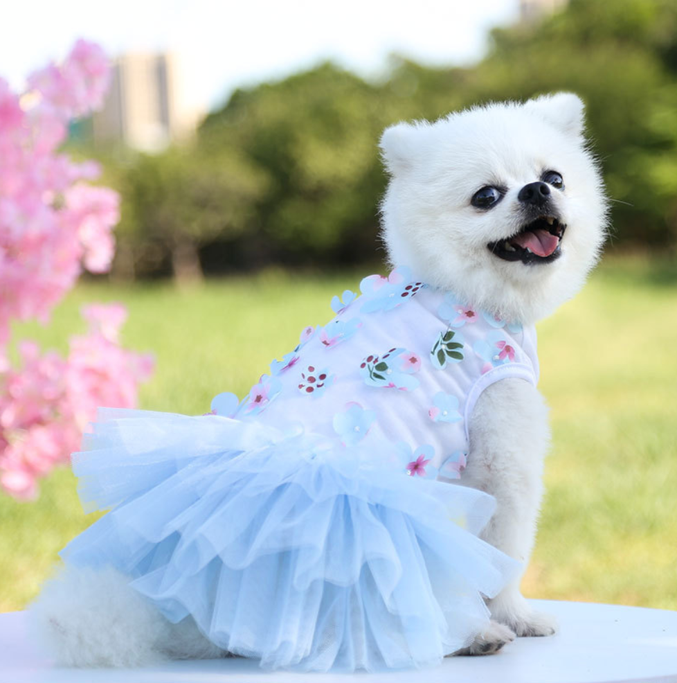 Chenpet Hot Selling New 2023 Spring & Summer Pet Wear Dog Dresses Apparels