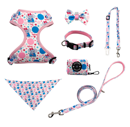 Chenpet Wholesale Pet Collar Sets Customized Pet Leashes