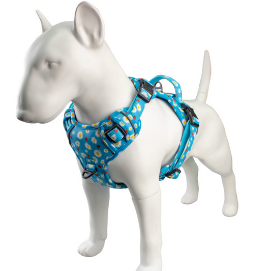 Chenpet Wholesale Pet Collar Sets  Customized Pet Harnesses