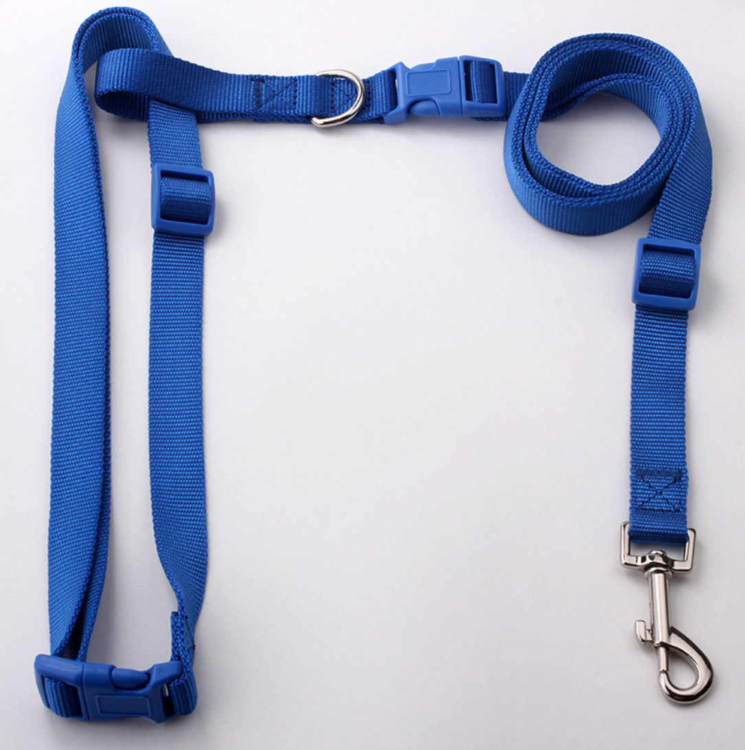 Chenpet Manufacturing Pet Leashes  Customized Dog Leashes