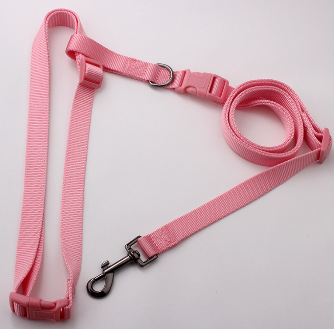 Chenpet Manufacturing Pet Leashes  Customized Dog Leashes