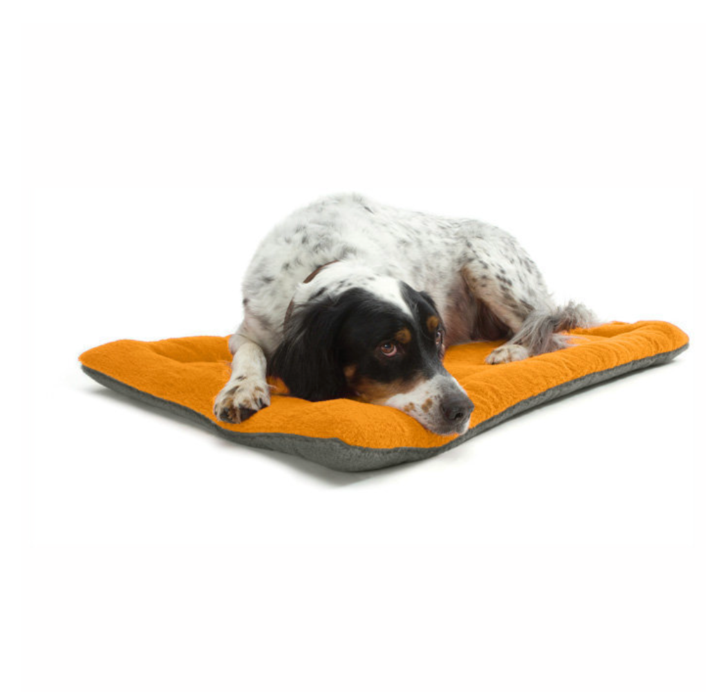 Chenpet Customizations Pet Plush Dog Soft  Mats