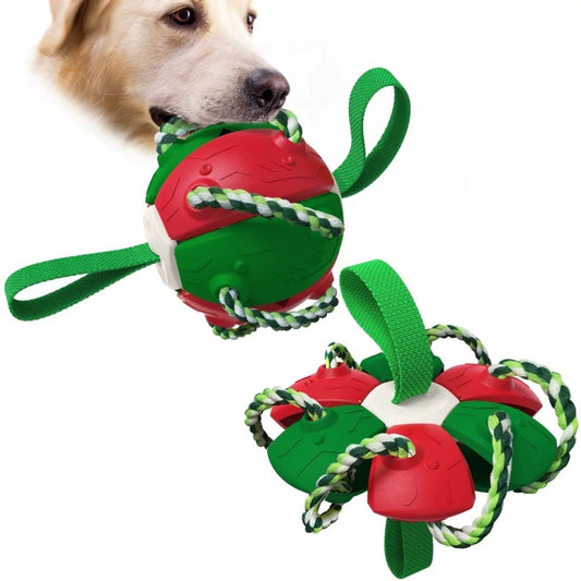 Chenpet Hot Selling Pet Play Dog ABS Toys