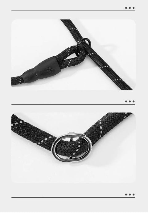 Comfortable And Durable New Dog Collar&Leash