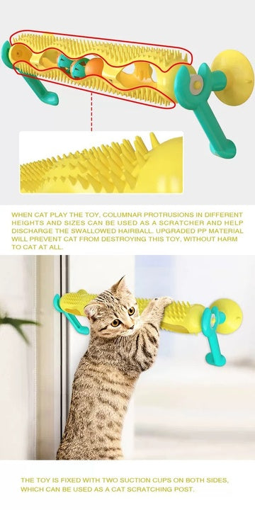 Chenpet Hot Selling Funny Cat Toys Pet Training Toy