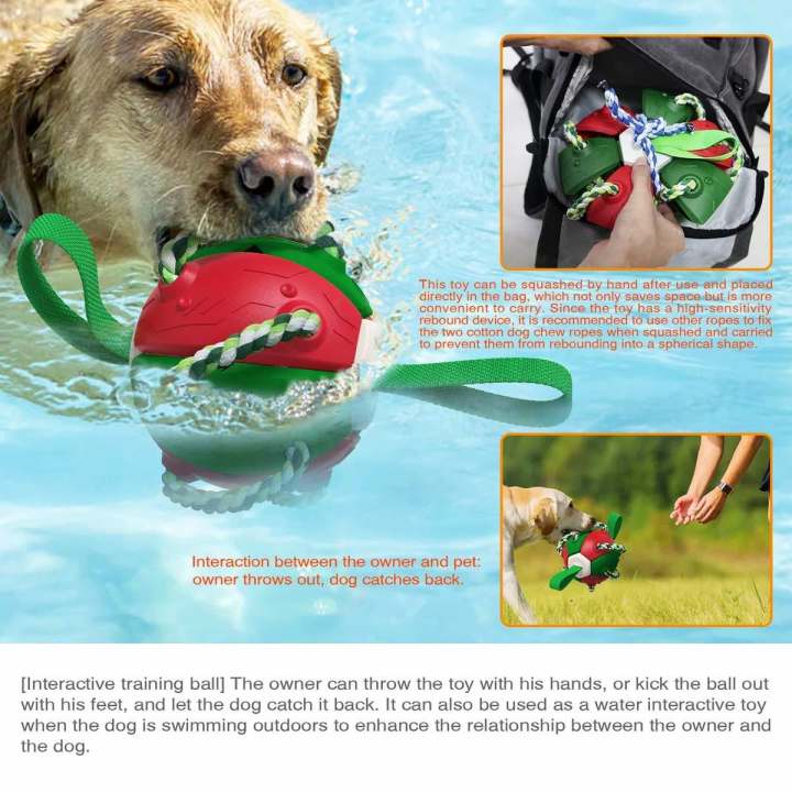 Chenpet Hot Selling Pet Play Dog ABS Toys