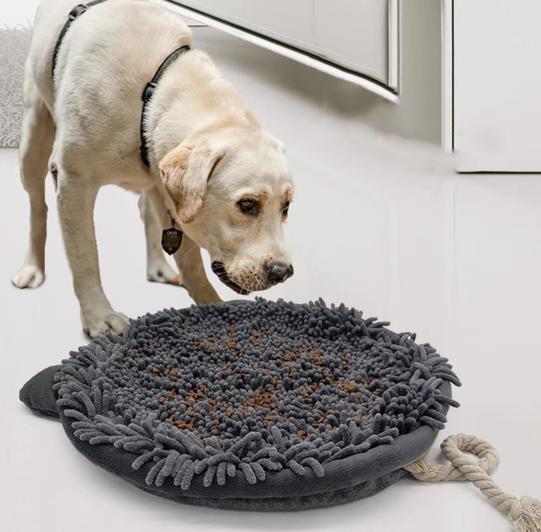 2022 New Update Chenille Pet Toy Dog Snuffle Mat