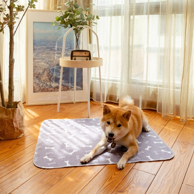 Chenpet Custom Pet Pad Mats Dog Waterproof Training Mats