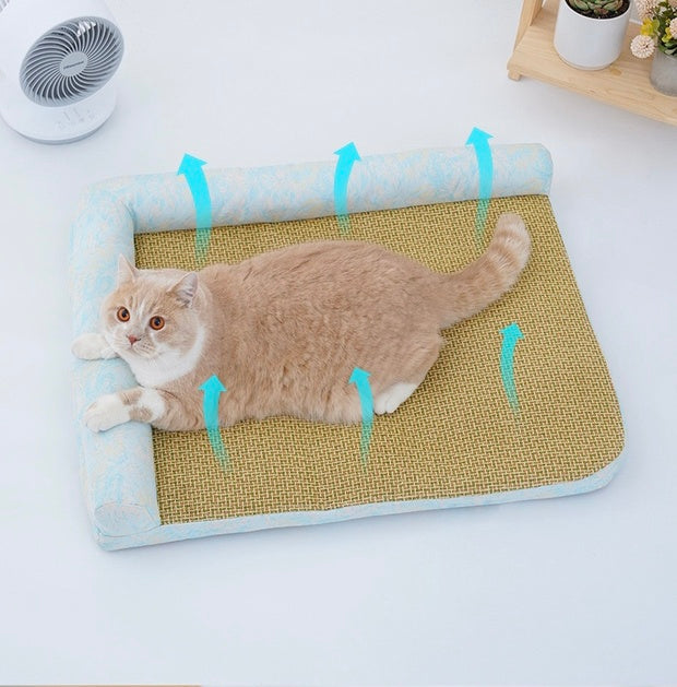 Chenpet High Quality Summer Breathable Foam Dog Beds Comfortable Pet Beds